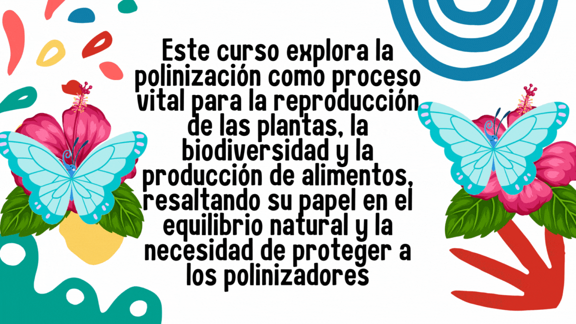 Presentación del proyecto y descripción del mismo: Este curso explora la polinización como proceso vital para la reproducción de las plantas, la biodiversidad y la producción de alimentos, resaltando su papel en el equilibrio natural y la necesidad de proteger a los polinizadores